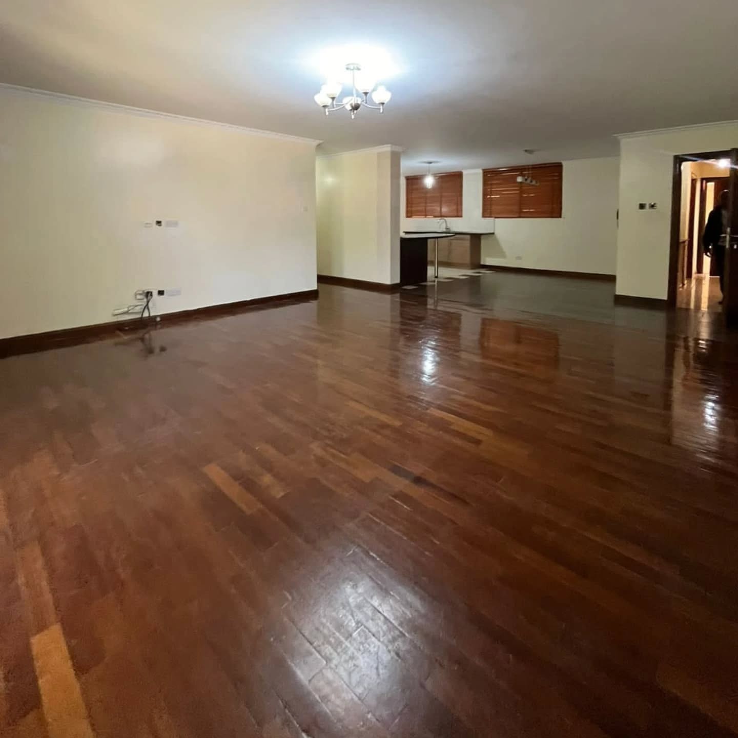 Well-Maintained 3-Bedroom Apartment Plus DSQ for Rent in Lavington Image