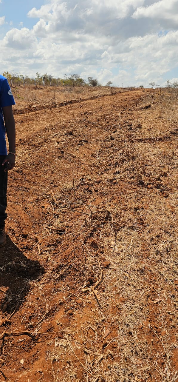 Zawadi Gardens Phase 1 – Makutano, Mwea, Karaba 50x100 plots @299k Image